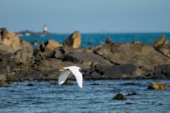 Edmonds-James-1
