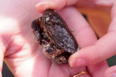 bioblitz12
