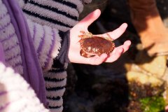 bioblitz14