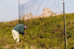 bioblitz17