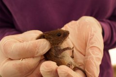 bioblitz23