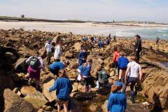 bioblitz5