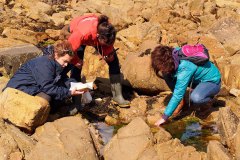 bioblitz9