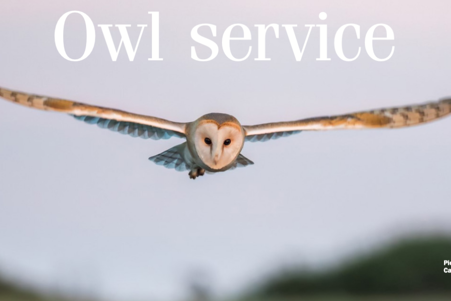 La Societe Barn Owl Project