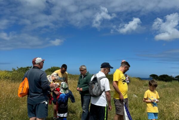 Nature Guernsey Bug Hunt